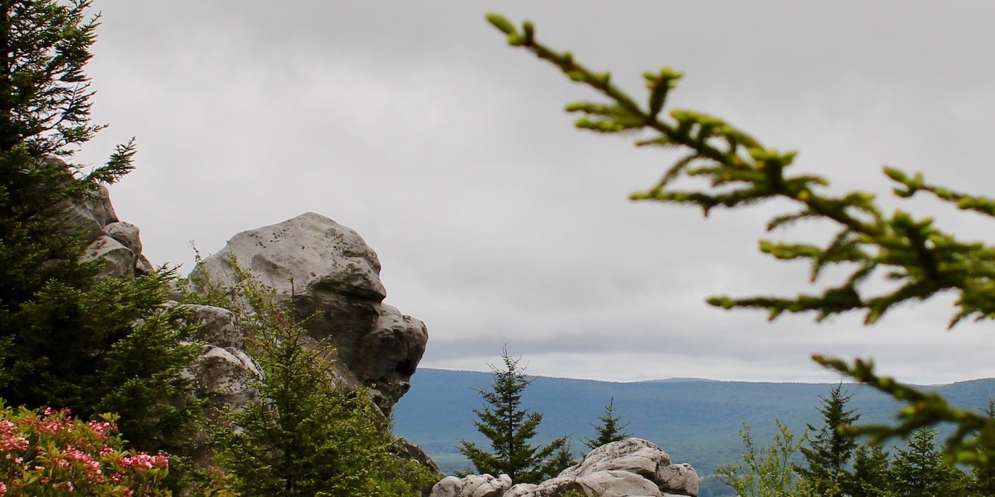 Backpacking Dolly Sods Wilderness