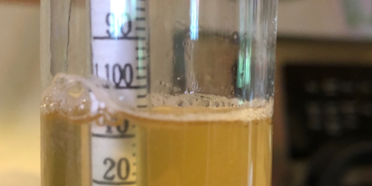 A reading of 1.105 (eleven-o-five) might seem like a high gravity to non-mead-makers