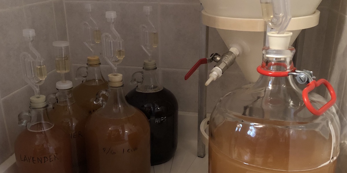 Seven gallons of mead fermenting