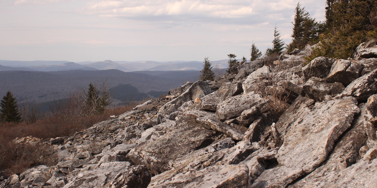 Conglomerate boulders near Spruce Knob