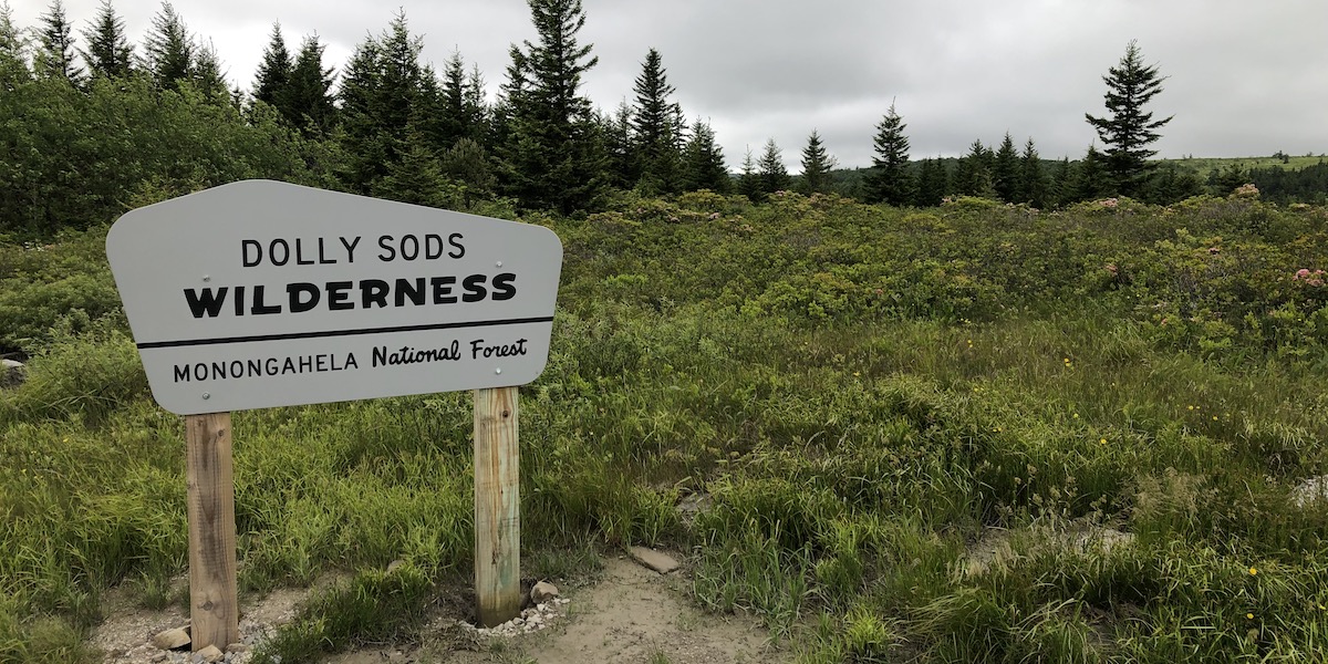 Dolly Sods Wilderness, Monongahela National Forest
