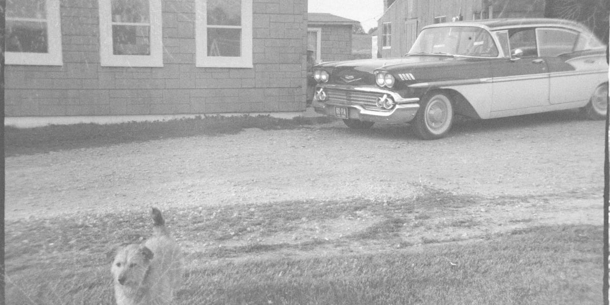 The family dog and a 1958 Chevrolet Bel Air